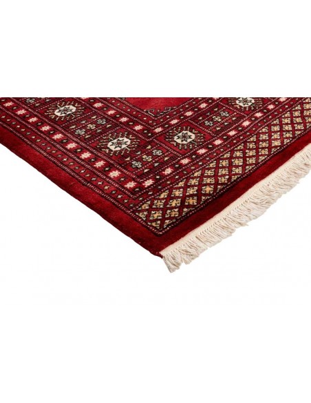 Hand made rug Bukhara fine Pakistan cm.183x294
