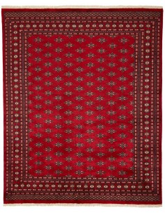Hand made rug Bukhara fine Pakistan cm.243x298
