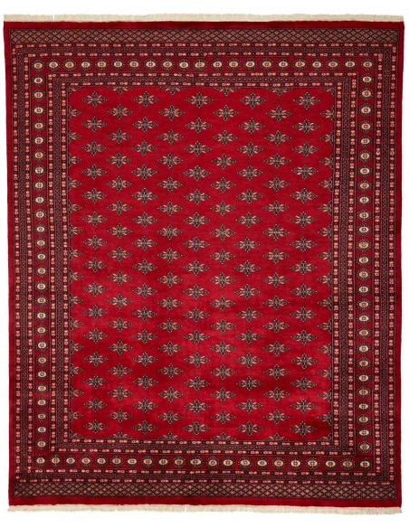 Hand made rug Bukhara fine Pakistan cm.243x298
