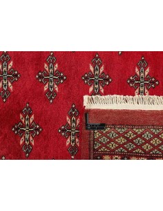 Hand made rug Bukhara fine Pakistan cm.243x298 2