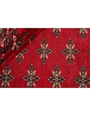 Hand made rug Bukhara fine Pakistan cm.243x298