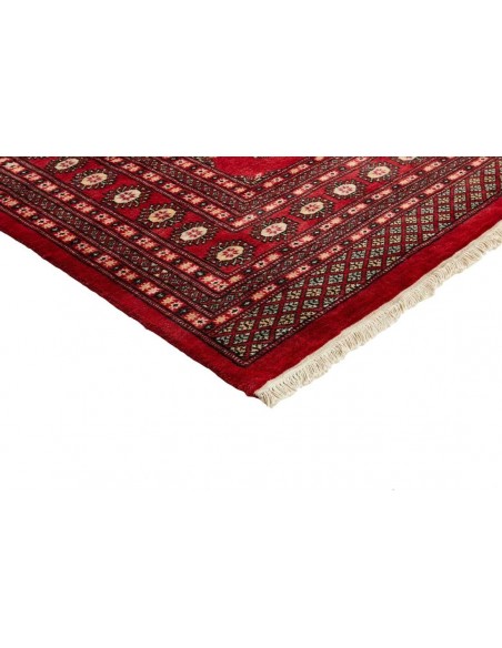 Hand made rug Bukhara fine Pakistan cm.243x298