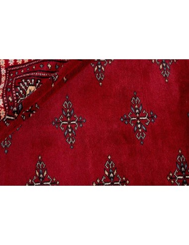 Hand made rug Bukhara fine Pakistan cm.279x359