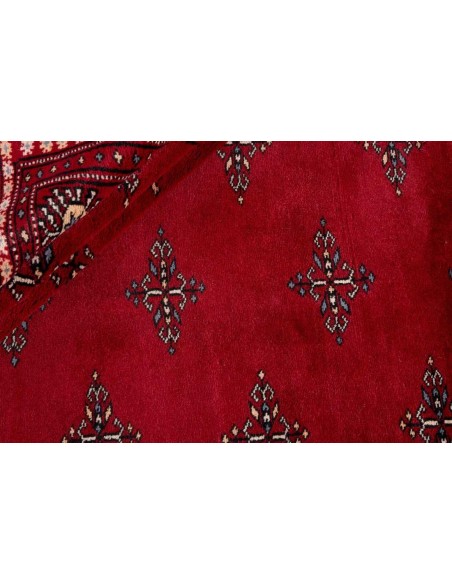 Hand made rug Bukhara fine Pakistan cm.279x359