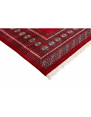 Hand made rug Bukhara fine Pakistan cm.279x359