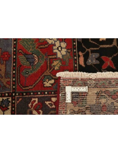 Hand made rug Bakhtiyar Persia cm.166x290