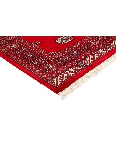 Hand made rug Bukhara fine Pakistan cm.93x159