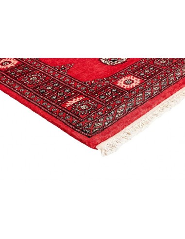 Hand made rug Bukhara fine Pakistan cm.93x160