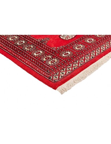 Hand made rug Bukhara fine Pakistan cm.94x159