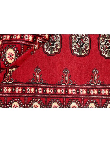 Hand made rug Bukhara fine Pakistan cm.94x160