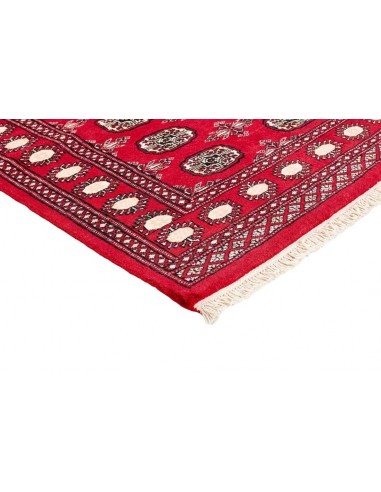 Hand made rug Bukhara fine Pakistan cm.95x161