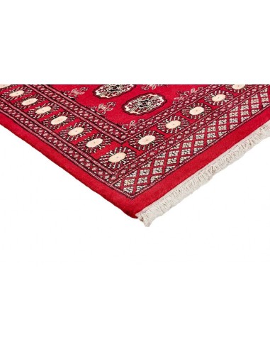 Hand made rug Bukhara fine Pakistan cm.95x157