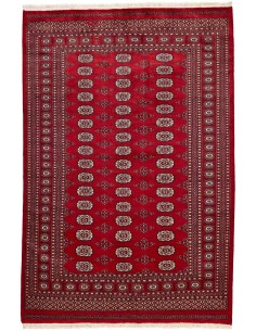 Hand made rug Bukhara fine Pakistan cm.169x251