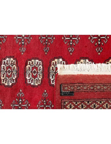 Hand made rug Bukhara fine Pakistan cm.169x251