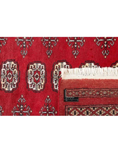 Hand made rug Bukhara fine Pakistan cm.169x251