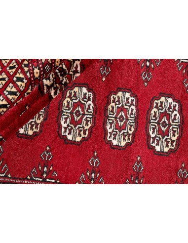 Hand made rug Bukhara fine Pakistan cm.169x251