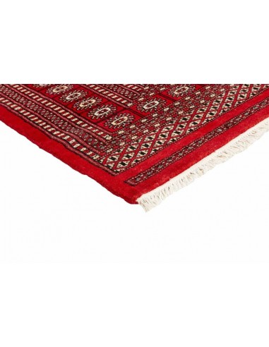 Hand made rug Bukhara fine Pakistan cm.169x251