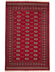 Hand made rug Bukhara fine Pakistan cm.171x257