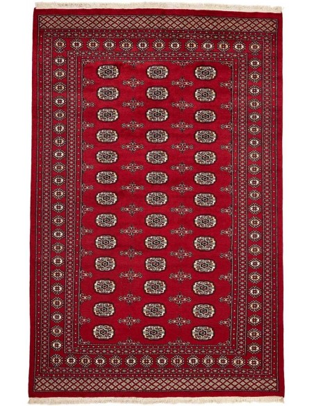 Hand made rug Bukhara fine Pakistan cm.171x257