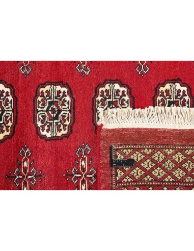 Hand made rug Bukhara fine Pakistan cm.171x257