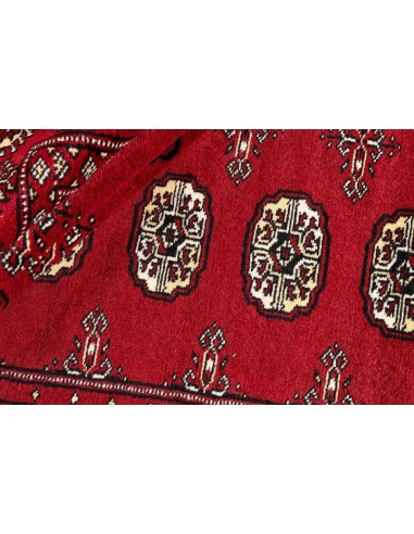 Hand made rug Bukhara fine Pakistan cm.171x257
