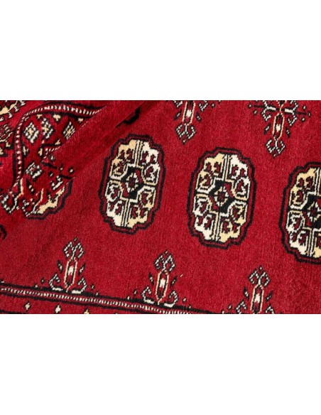 Hand made rug Bukhara fine Pakistan cm.171x257