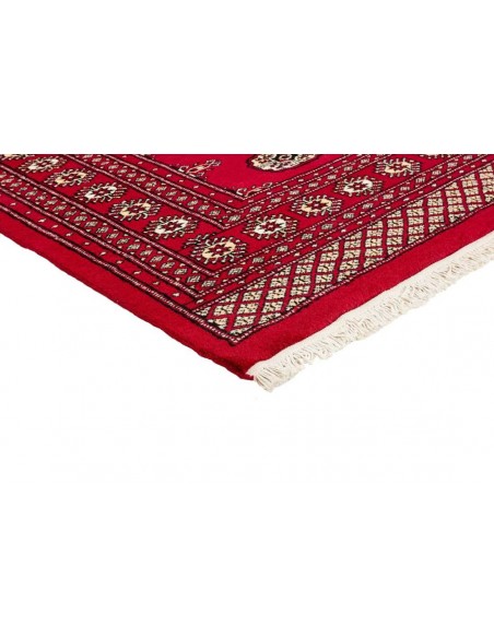 Hand made rug Bukhara fine Pakistan cm.171x257