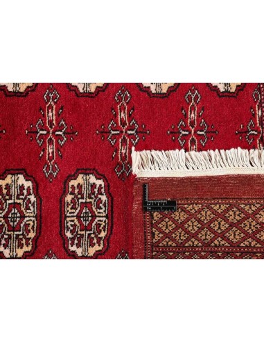 Hand made rug Bukhara fine Pakistan cm.168x249