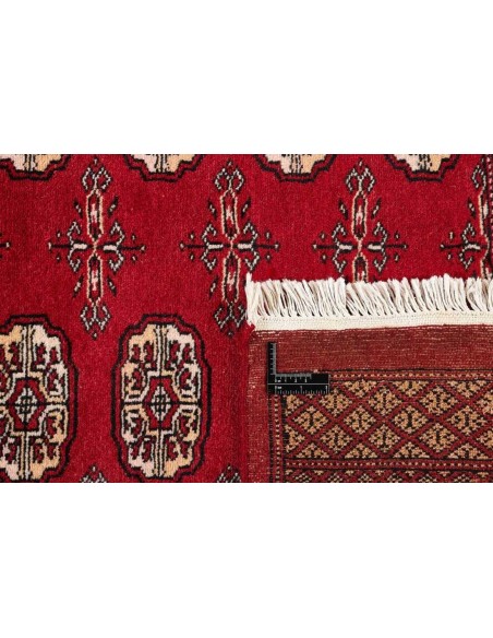 Hand made rug Bukhara fine Pakistan cm.168x249