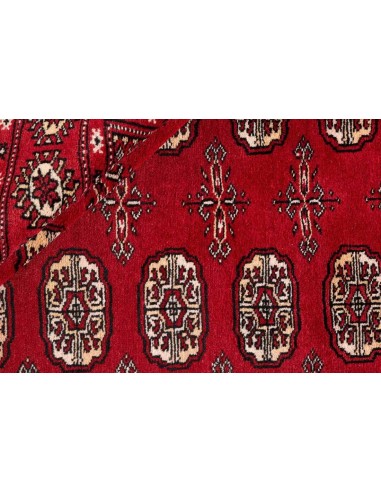 Hand made rug Bukhara fine Pakistan cm.168x249