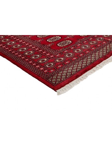Hand made rug Bukhara fine Pakistan cm.168x249