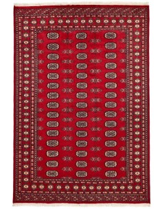 Hand made rug Bukhara fine Pakistan cm.171x250