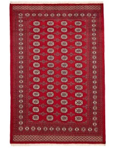 Hand made rug Bukhara fine Pakistan cm.169x252