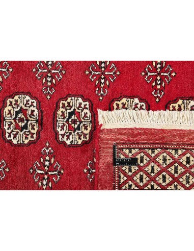 Hand made rug Bukhara fine Pakistan cm.169x252
