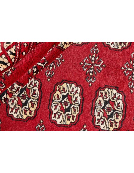 Hand made rug Bukhara fine Pakistan cm.169x252