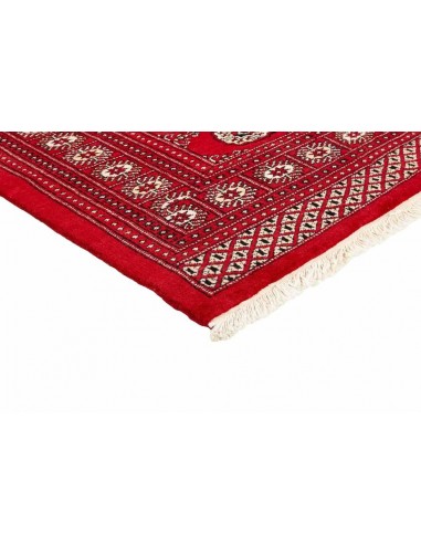 Hand made rug Bukhara fine Pakistan cm.169x252
