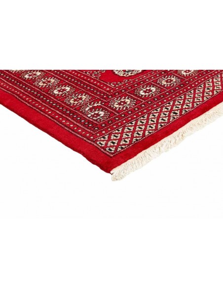 Hand made rug Bukhara fine Pakistan cm.169x252