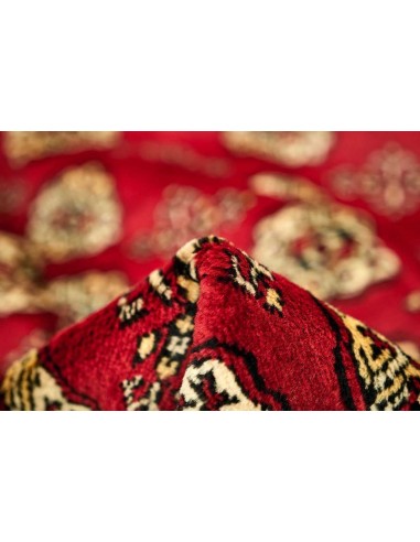 Hand made rug Bukhara fine Pakistan cm.169x252