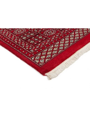 Hand made rug Bukhara fine Pakistan cm.188x284