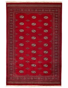 Hand made rug Bukhara fine Pakistan cm.188x281