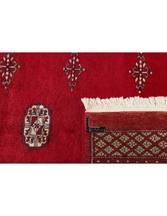 Hand made rug Bukhara fine Pakistan cm.188x281 2