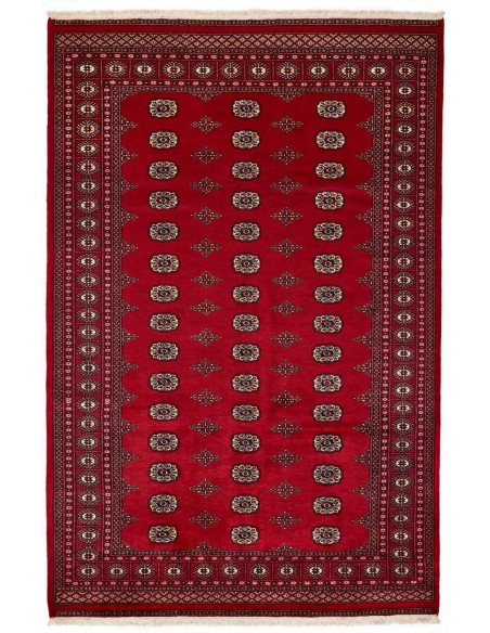 Hand made rug Bukhara fine Pakistan cm.187x283