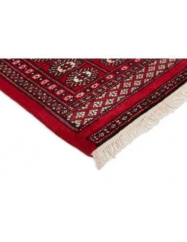 Hand made rug Bukhara fine Pakistan cm.187x283