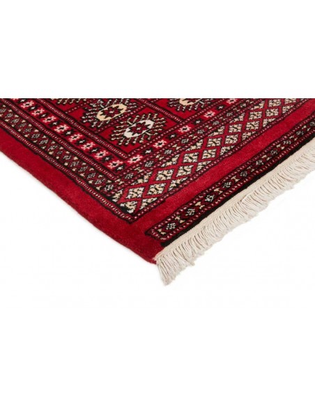 Hand made rug Bukhara fine Pakistan cm.187x283
