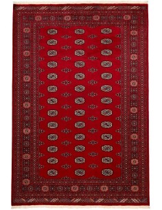 Hand made rug Bukhara fine Pakistan cm.190x280