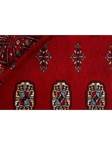 Hand made rug Bukhara fine Pakistan cm.190x280