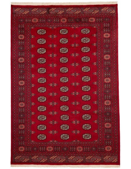 Hand made rug Bukhara fine Pakistan cm.179x266
