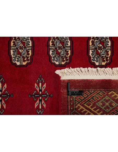 Hand made rug Bukhara fine Pakistan cm.179x266