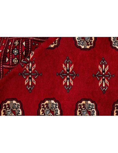 Hand made rug Bukhara fine Pakistan cm.179x266