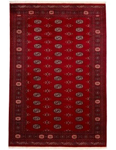 Hand made rug Bukhara fine Pakistan cm.186x276